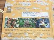 コサムイ バイ チェディルアン