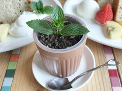 クラフトカフェ　ビックフォレスト