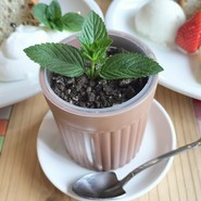 クラフトカフェ　ビックフォレスト