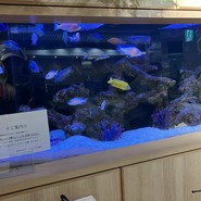 MISUGIYA+ クリスタ長堀店