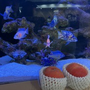 MISUGIYA+ クリスタ長堀店