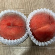 MISUGIYA+ クリスタ長堀店
