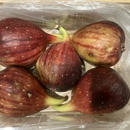 MISUGIYA+ クリスタ長堀店