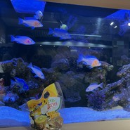 MISUGIYA+ クリスタ長堀店