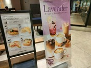 エクセルシオール カフェ  アスティ岐阜店