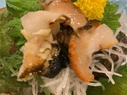 サザエのお刺身