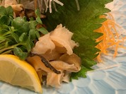 ろばた仁竹瓦横丁店