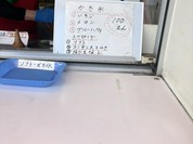 PAKU-PAKU