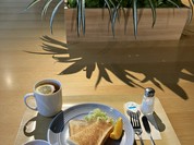 Cafe Seeds