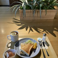Cafe Seeds