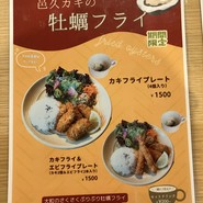 Cafe Seeds