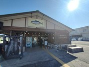 勝浦漁港 にぎわい市場