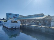 勝浦漁港 にぎわい市場