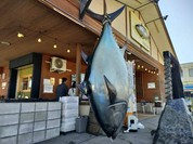 勝浦漁港 にぎわい市場