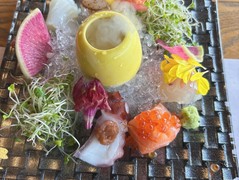 芦屋和奏こころ