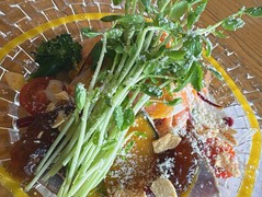 芦屋和奏こころ