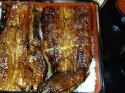 炭火焼うなぎ 東山物産