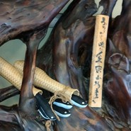 炭火焼うなぎ 東山物産
