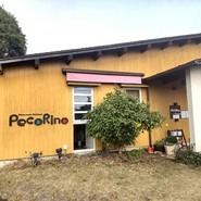 ペコリーノ