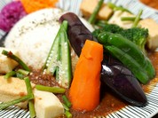 curry＆spice Y PIP CCC