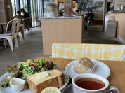 foodscape！ store