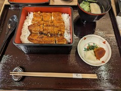 国産うなぎ うな重 上