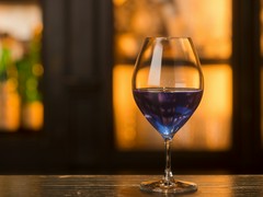 ザ エスジー クラブ（The SG Club）