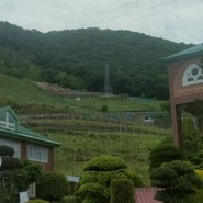 シャトー勝沼レストラン鳥居平