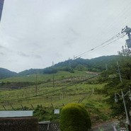 シャトー勝沼レストラン鳥居平