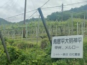 シャトー勝沼レストラン鳥居平