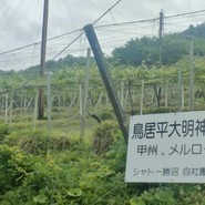 シャトー勝沼レストラン鳥居平