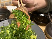 黒毛和牛とタンとハラミ 焼肉ごりちゃん 福島店