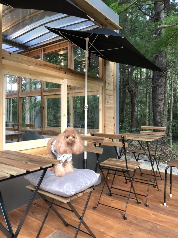 神戸市北区 有馬 三田のカフェがおすすめのグルメ人気店 ヒトサラ