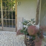 吹上の森
