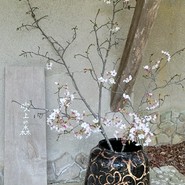 吹上の森