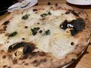 トラットリア ピッツェリア アレグロ 難波店