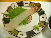 柴山ゴールド・松葉蟹（刺身）