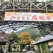 安食里