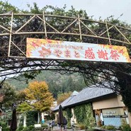 安食里