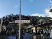 安食里