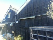 柚 クッチーナナチュラーレ