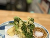 鶏・さかな料理 すみ田