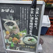 かげ山