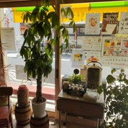 世界に一つだけのレモネード HYAKKOYA