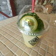 世界に一つだけのレモネード HYAKKOYA