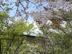 かき船かなわ