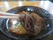うどん　そば　今泉