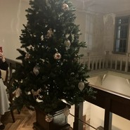 クリスマスツリー