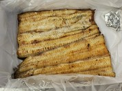 神田きくかわ 神田店