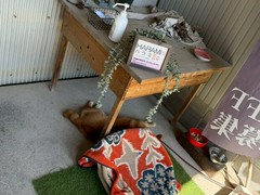 淡路　夢ホルモン